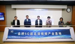 浦东金桥新闻爆料电话,揭秘城市脉搏，倾听民声心声